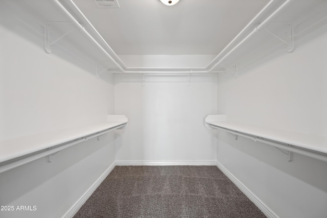 spacious closet with carpet flooring