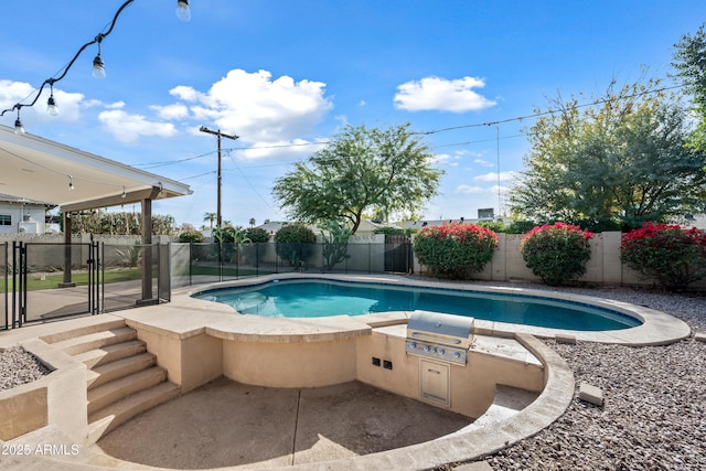 view of pool with a grill