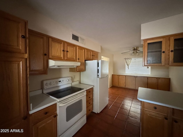 kitchen with white appliances and ceiling fan