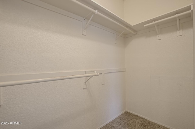 spacious closet featuring carpet flooring