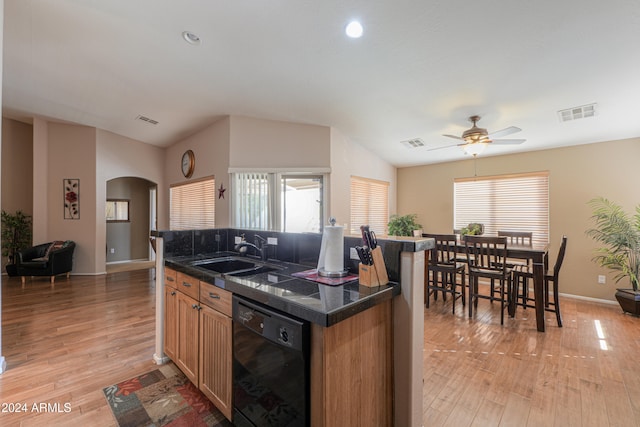 kitchen with black dishwasher, a healthy amount of sunlight, and light hardwood / wood-style flooring