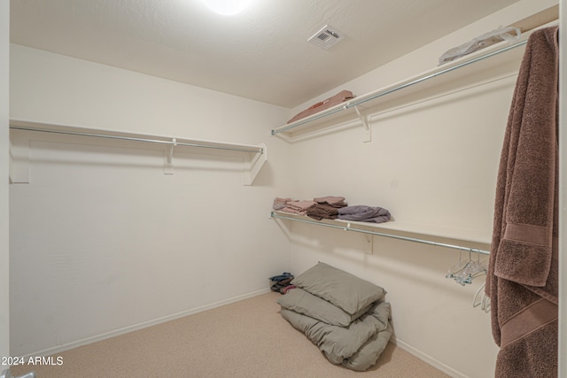 walk in closet featuring carpet flooring