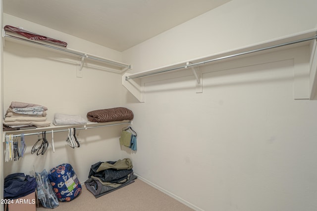 walk in closet featuring carpet floors