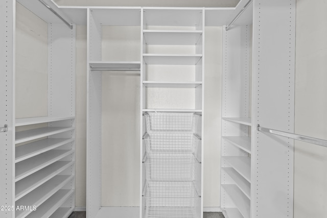 1135 W Sea Fog Dr, Gilbert, AZ 85233 - view of walk in closet