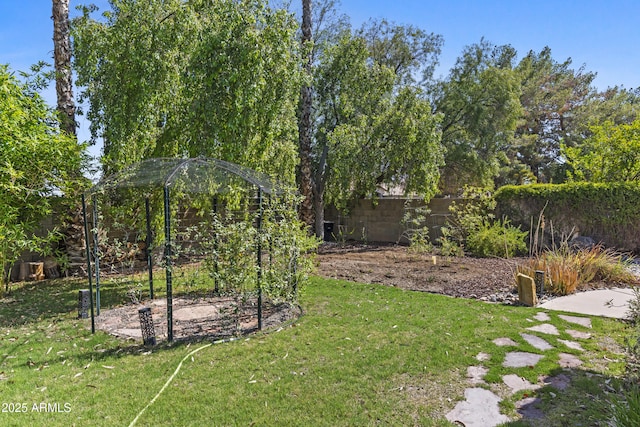 1135 W Sea Fog Dr, Gilbert, AZ 85233 - view of fenced yard