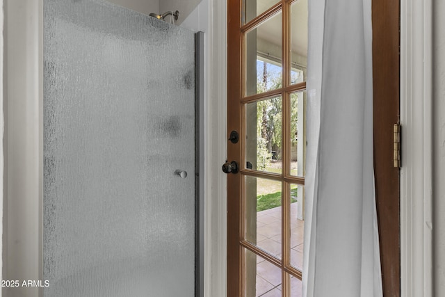 1135 W Sea Fog Dr, Gilbert, AZ 85233 - doorway to outside featuring healthy amount of natural light