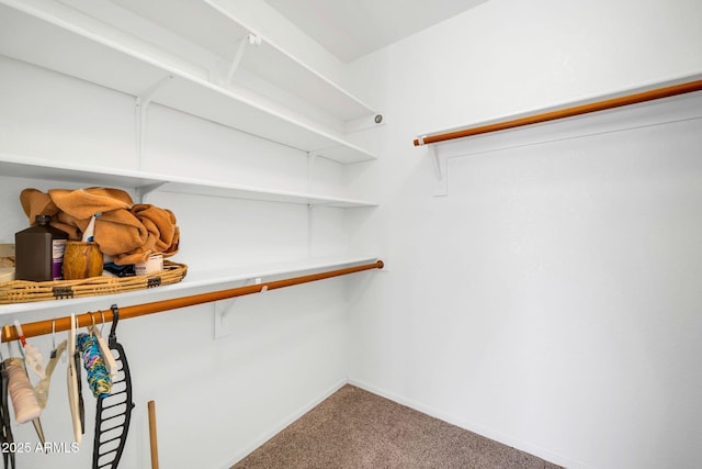 10745 W Beaubien Dr, Sun City, AZ 85373 - spacious closet featuring carpet flooring