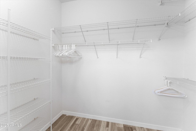 walk in closet featuring wood finished floors