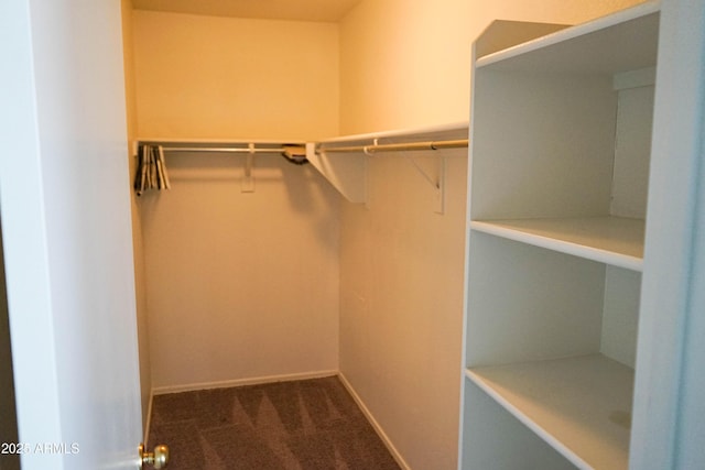 walk in closet featuring dark colored carpet