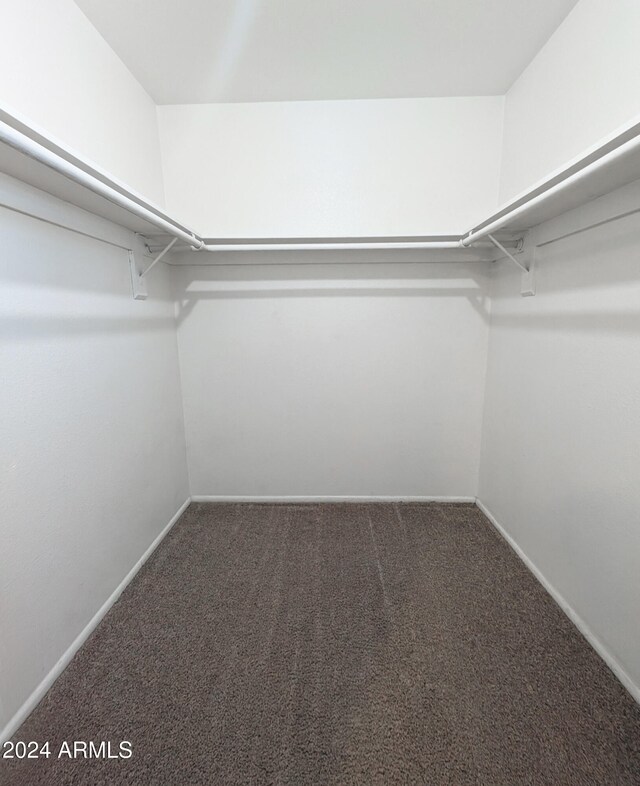 walk in closet with carpet flooring