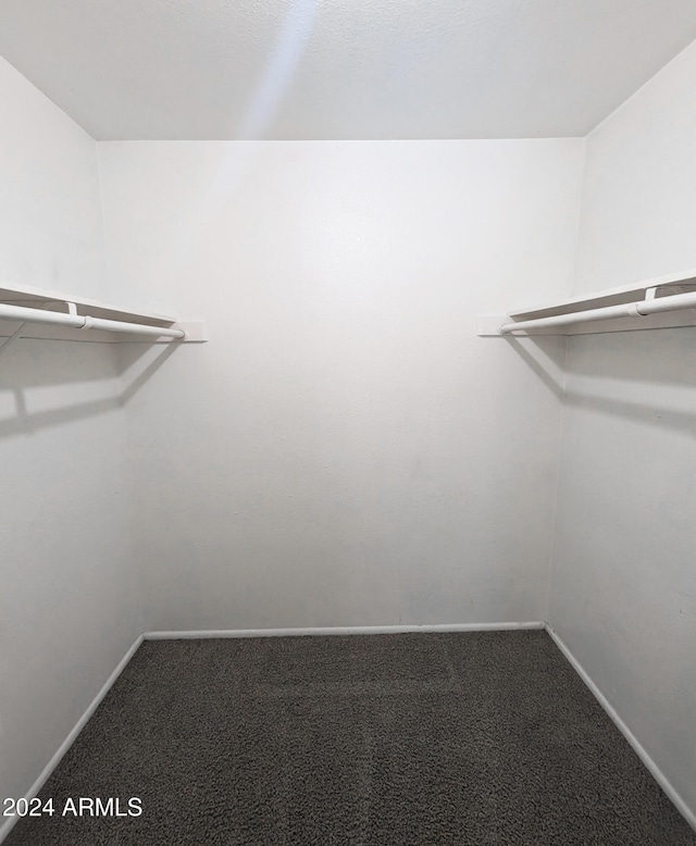 walk in closet with carpet floors