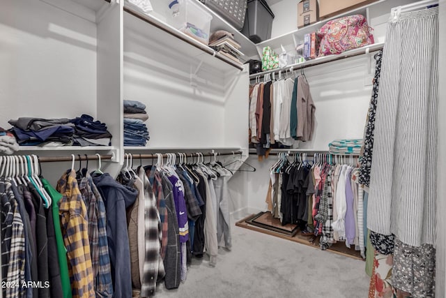 spacious closet with carpet flooring