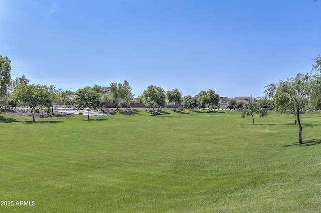 view of home's community featuring a yard