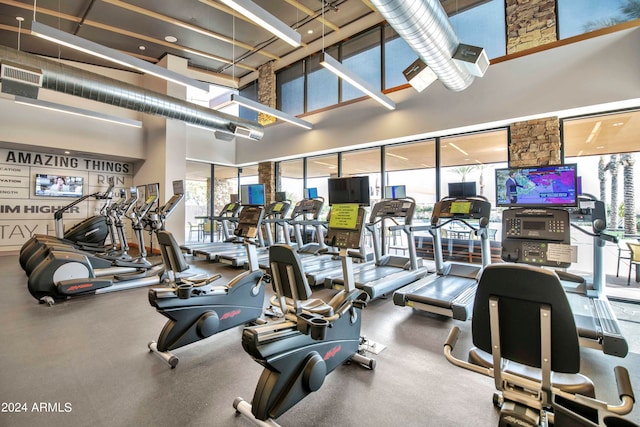 gym featuring a high ceiling and a healthy amount of sunlight