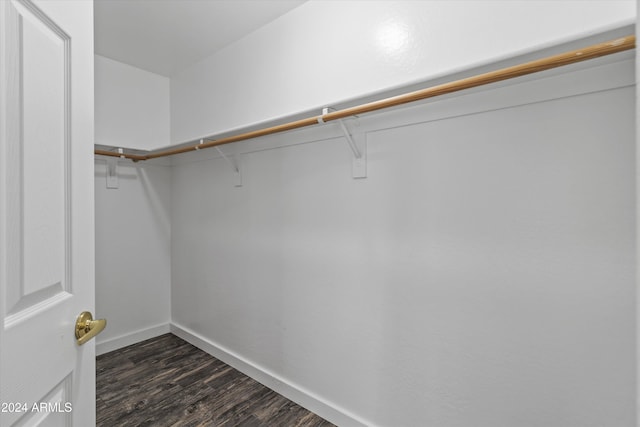 walk in closet featuring dark hardwood / wood-style flooring