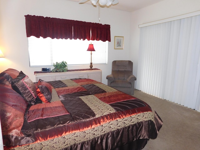 carpeted bedroom with multiple windows