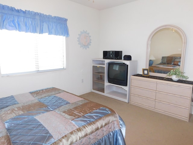 bedroom with light carpet