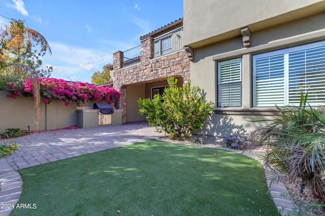 view of yard featuring a patio and an outdoor kitchen