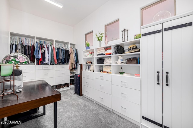 spacious closet featuring light colored carpet