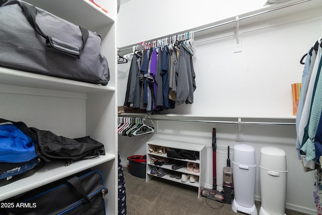 walk in closet featuring carpet floors