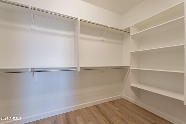 spacious closet with hardwood / wood-style flooring