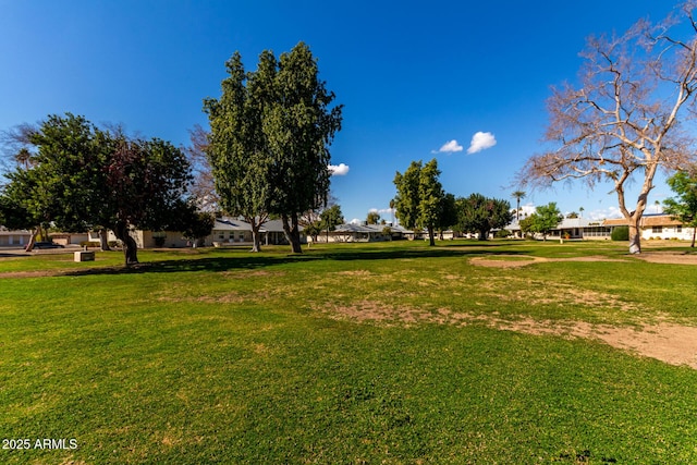 view of property's community featuring a yard