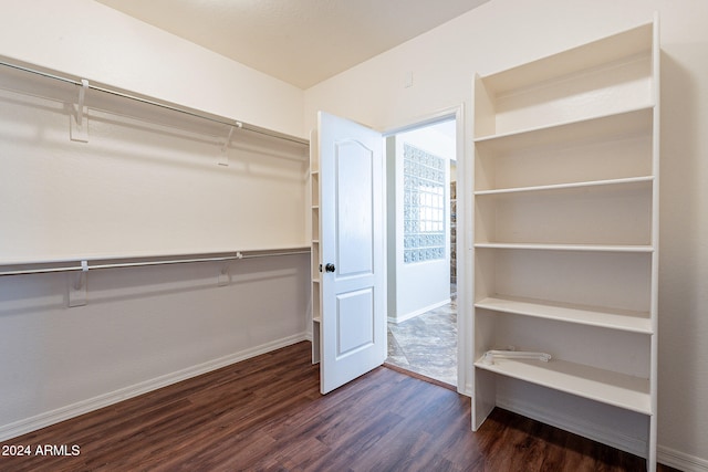 walk in closet featuring dark hardwood / wood-style flooring