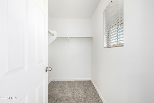 spacious closet with carpet flooring