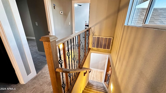 staircase featuring carpet