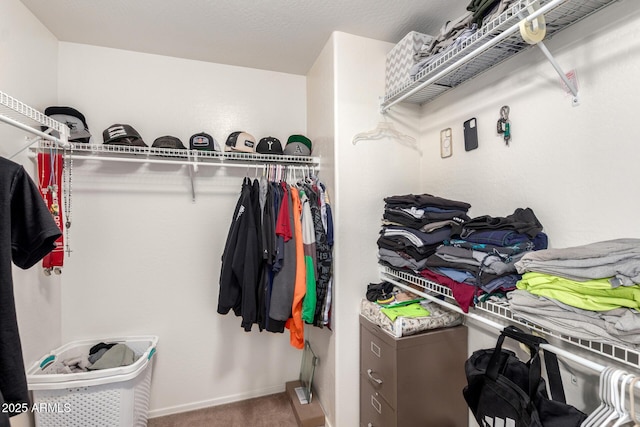 spacious closet featuring carpet