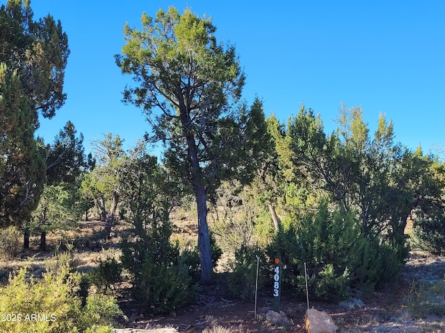 4083 Sunset Ridge Loop Unit 175, Happy Jack, AZ 86024