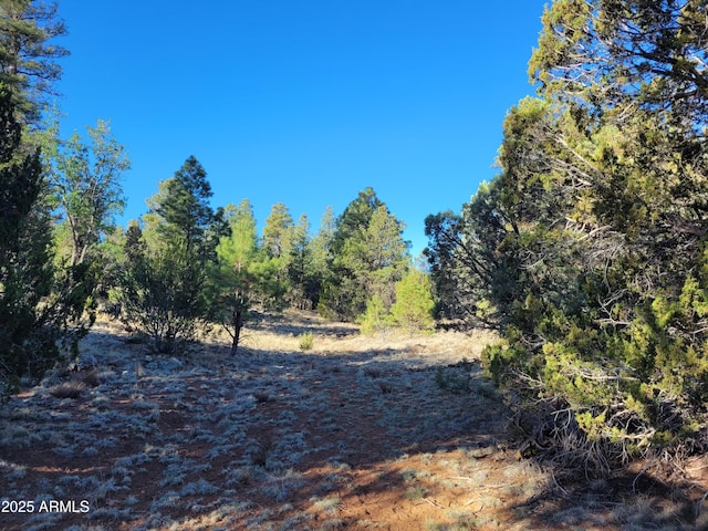 4083 Sunset Ridge Loop Unit 175, Happy Jack, AZ 86024