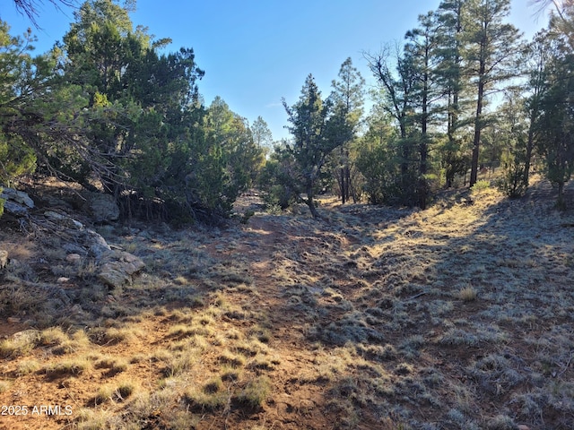 4083 Sunset Ridge Loop Unit 175, Happy Jack, AZ 86024