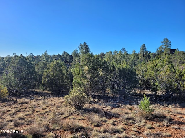 4083 Sunset Ridge Loop Unit 175, Happy Jack, AZ 86024