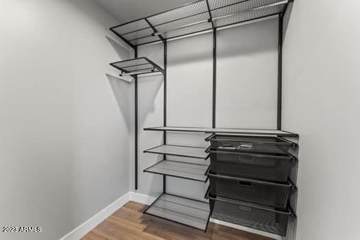 spacious closet featuring wood-type flooring