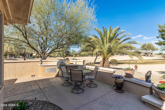 view of patio / terrace with area for grilling and a grill