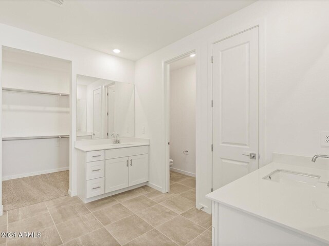 bathroom with toilet and vanity