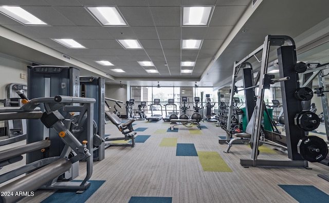 gym featuring a paneled ceiling and carpet