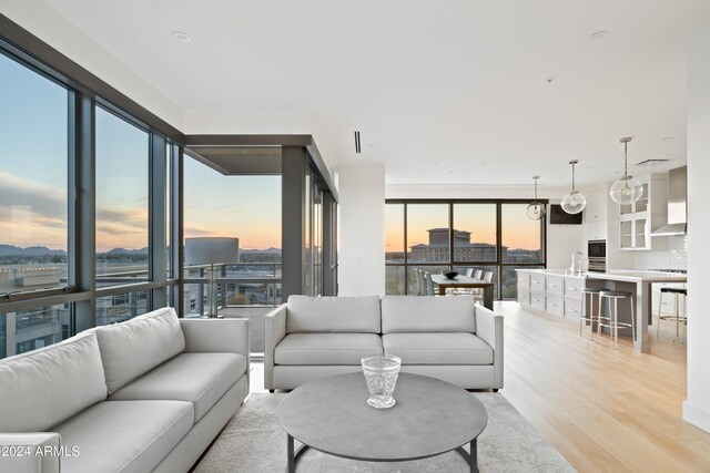 living room featuring a wealth of natural light, light hardwood / wood-style flooring, and expansive windows