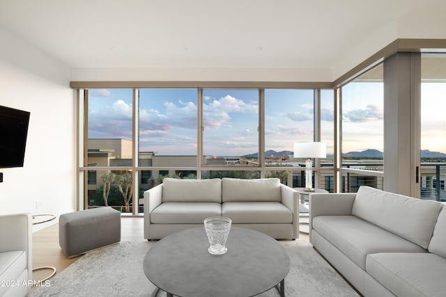 living room featuring hardwood / wood-style floors and a wealth of natural light