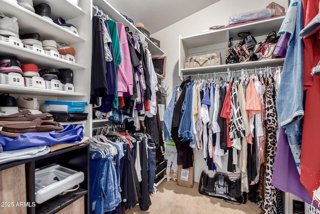 spacious closet with carpet