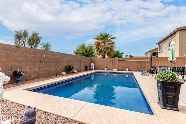 view of swimming pool with a patio area, a fenced backyard, and a fenced in pool