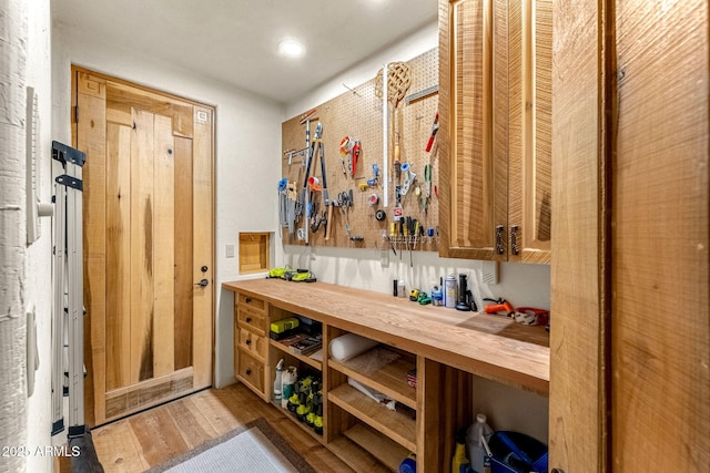 wine room with light wood-type flooring