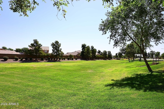 view of property's community with a yard