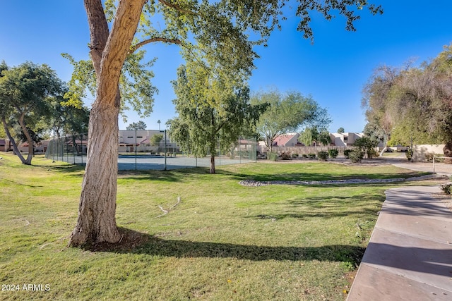 view of home's community featuring a yard