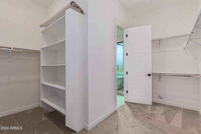 spacious closet with carpet flooring