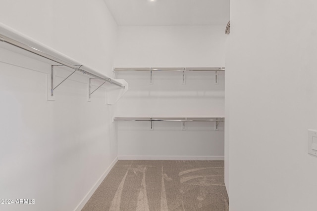 spacious closet featuring carpet flooring