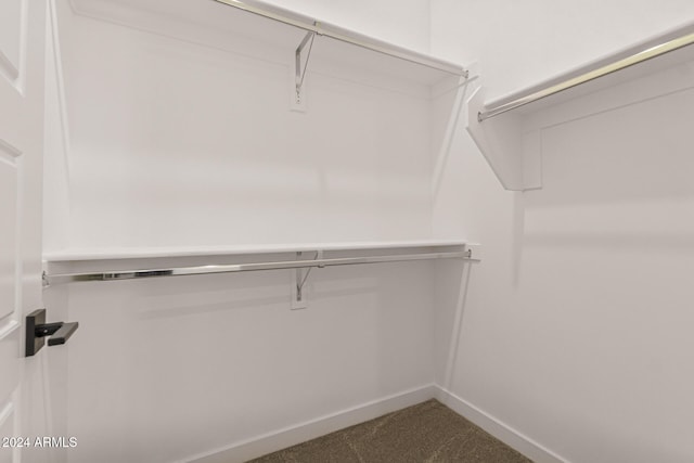 walk in closet with carpet