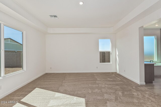 carpeted spare room with a healthy amount of sunlight