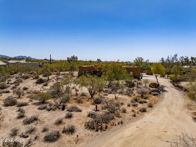 view of local wilderness